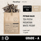 Mountain White Peony