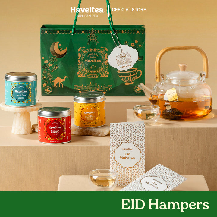 H1 - Camilia A