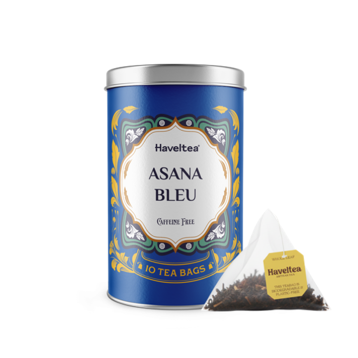 Asana Bleu Big Can 10TB