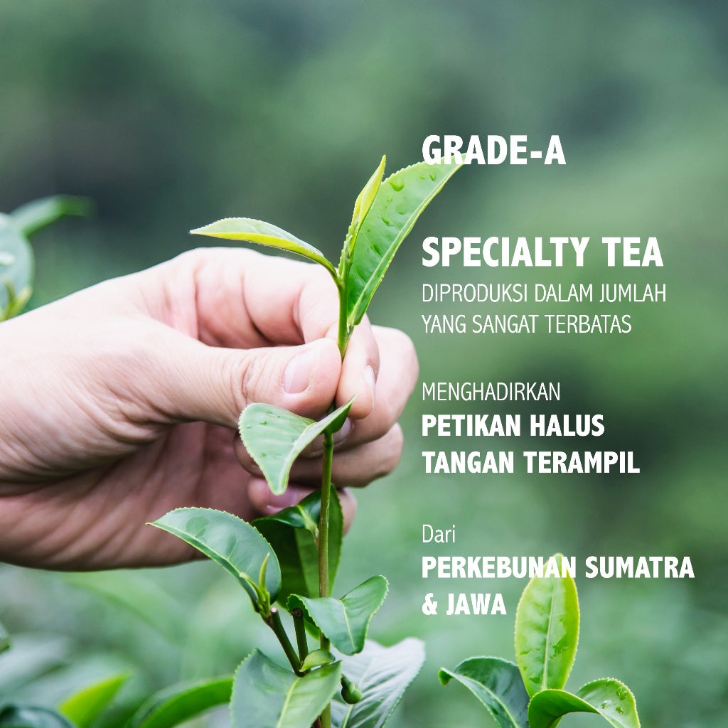 Superior Oolong